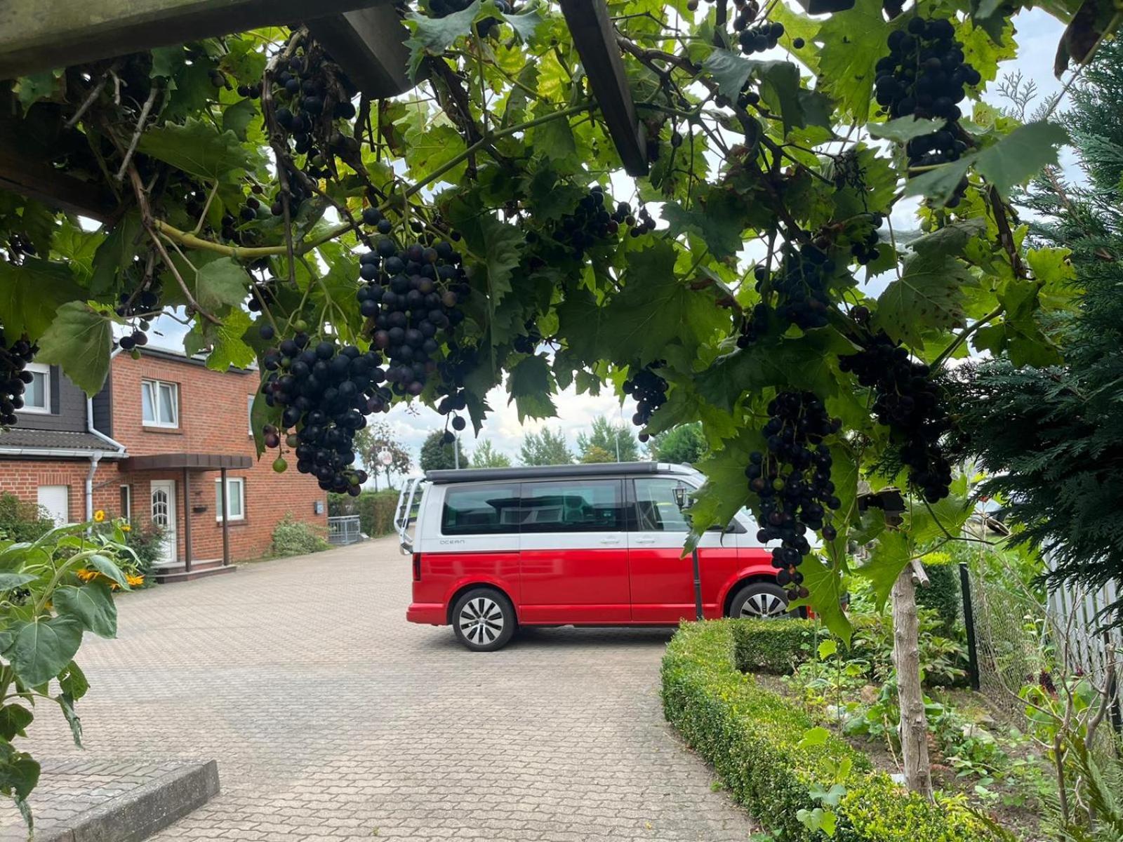 Neumuehler Hof- Ferienwohnung "Benjamin" Mit Grosser Privater Dachterasse Und Guter Anbindung In Die City Schwerin  Exterior foto